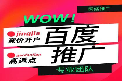 SEO与SEM融合策略：成功案例解析